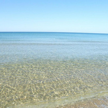 Villa Fiori Beach, 门菲 — 照片 4