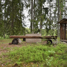 Älgparkens Stugby, Ockelbo — photo 3