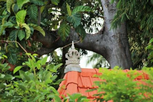 Rumah Beryl, Singaraja — photo 1