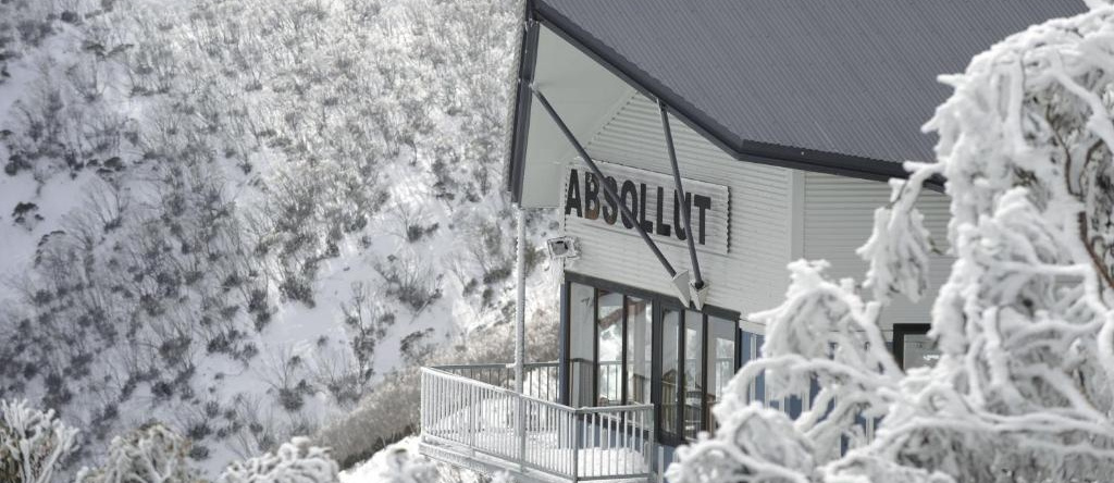 Absollut, Хотэм-Хайтс — фото 1