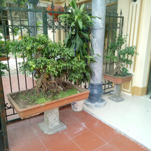Tai Hoa Motel, 清化 — 照片 4