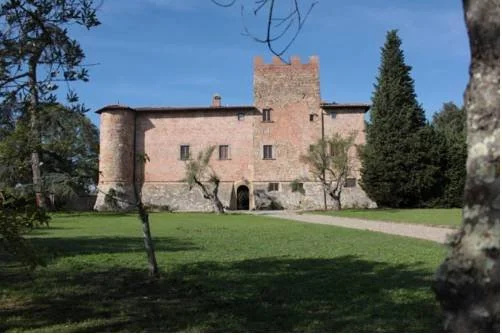 Castello di Tavolese, 切尔塔尔多 — 照片 1