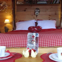 Guesthouse Domaine De La Carrauterie, 塞卢瓦涅 — 照片 3