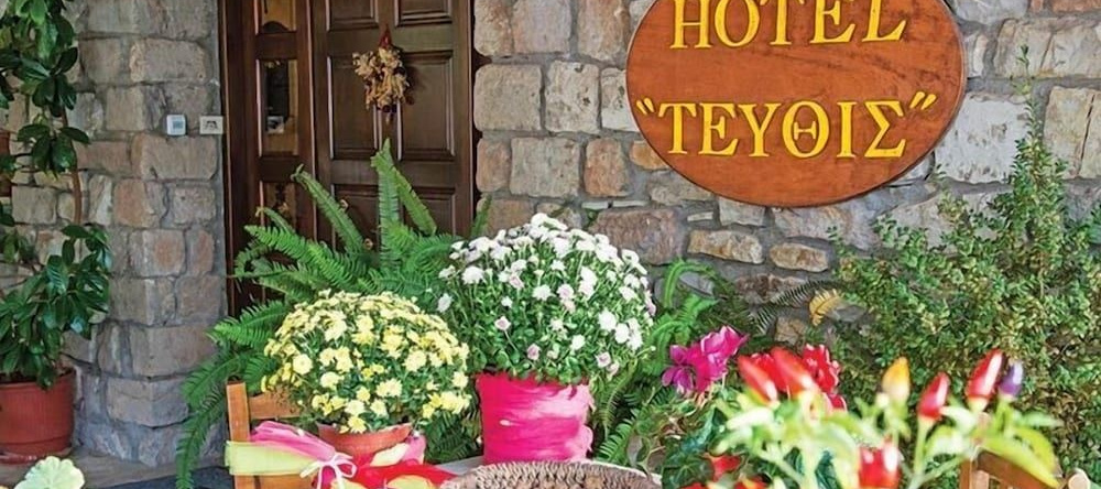 Hotel Tefthis, 迪米察纳 — 照片 1