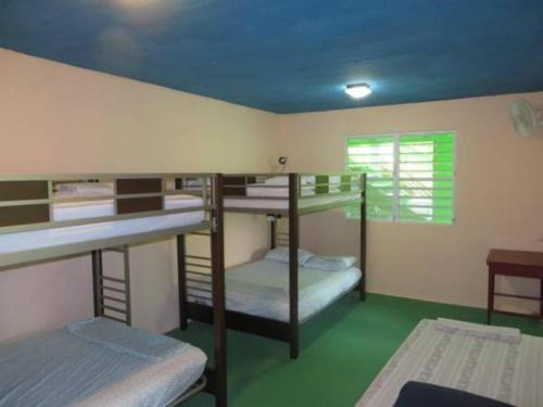 Casa Cubuy Ecolodge, Naguabo — photo 1