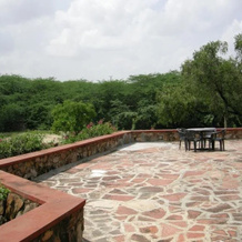 Hotel Bharatpur Ashok, 巴拉特普尔 — 照片 3
