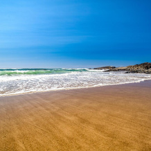 Surfer's View, Линкольн-Сити — фото 3