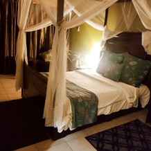 Sheila's lodge, Lilongwe — photo 4