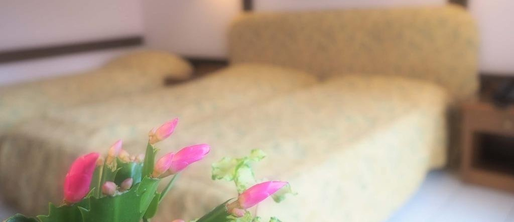 Hotel Patrizietta, Losone — photo 1
