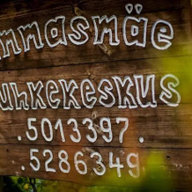 Lammasmäe Holiday Center, Vihula — photo 5
