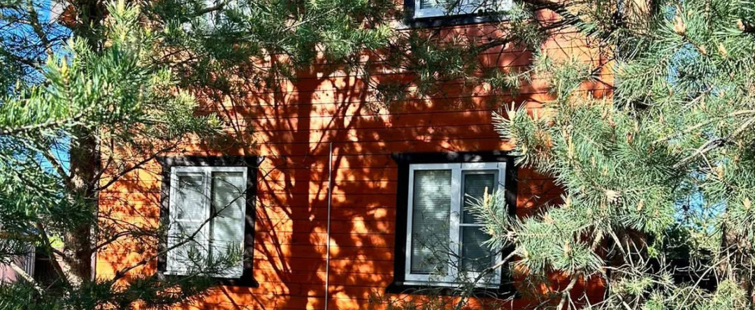 Dream Forest & River Pz Guest house, Kupanskoe — photo 1