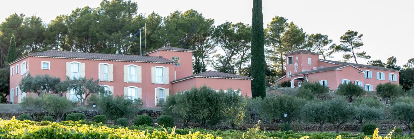 Domaine Rabiega - Vignoble Et Boutique Hotel, Драгиньян — фото 1