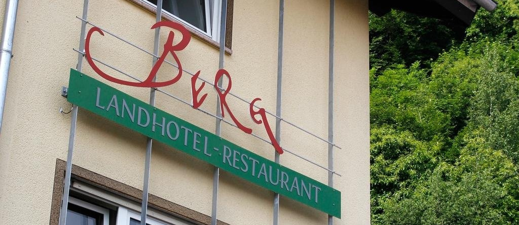 Hotel Berg, Dannenfels — photo 1