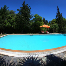 Wildrose Corfu Apartments, Perama — photo 3
