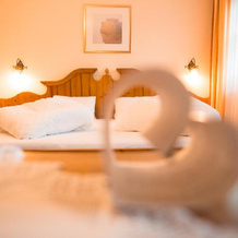 Landhotel Schütterbad, Unken — photo 2