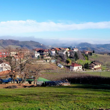 Country House Ca' Lein, 阿利切-贝尔-科莱 — 照片 5