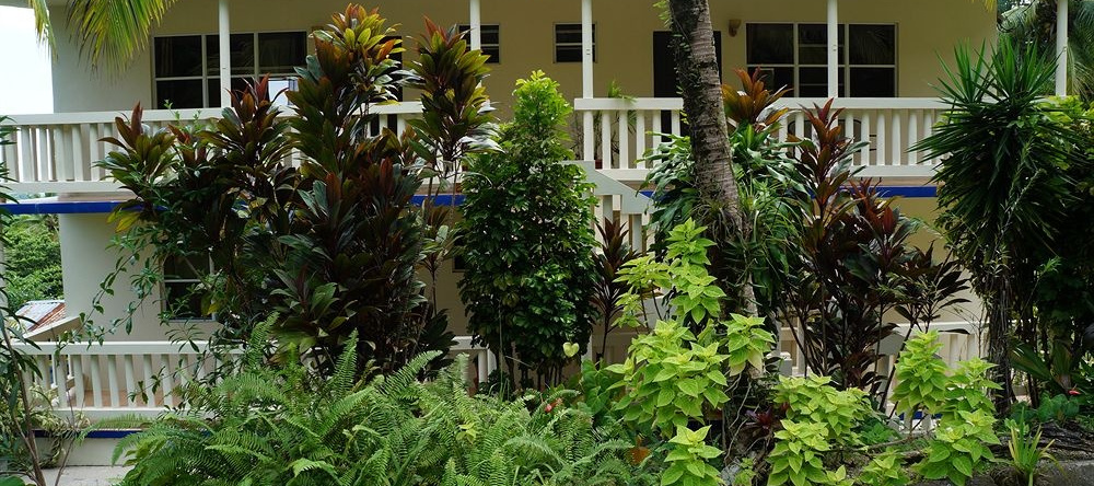 Hacienda Moyano, Naguabo — photo 1
