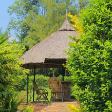 Nguge Hills Lodge & Wellness Retreat, Siaya — photo 2