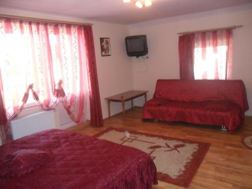 Pensiunea Casa Terzea, Rasnov — photo 1