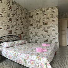 Na Shevyakova 37 Guest House, Kerch — photo 3