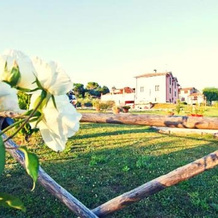 Casale Molinelle, San Gemini — photo 4