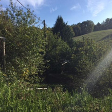 CAP NATURE - COSY T1 T3 T5 à 3km de Périgueux, 布拉扎克 — 照片 5