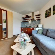 Apartmány u Modré Hvězdy, 罗基特尼采河畔伊泽拉 — 照片 2