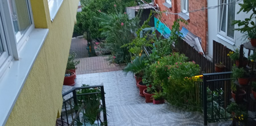Анна Сария, Гагра — фото 1
