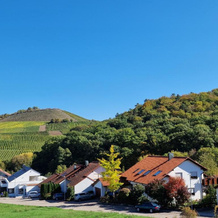 Villa Clee Ferienwohnungen, 克莱堡 — 照片 5