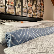 Hotel Mini, 瑙吉考尼饶 — 照片 4