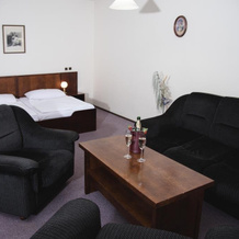 Hotel Celerin Telc, 泰尔奇 — 照片 5