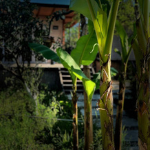 Mini-Otel Aqua Palm Resort, 苏呼米 — 照片 3