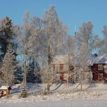 Stf Hostel Brunskog, Вастра-Амтервик — фото 3
