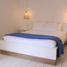 Mañarinegi Apartamentos Rurales, 阿伊亚 — 照片 3