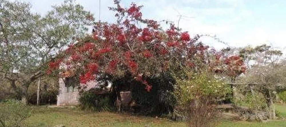 Pousada Sitio da Serra, 卡兰卡斯 — 照片 1