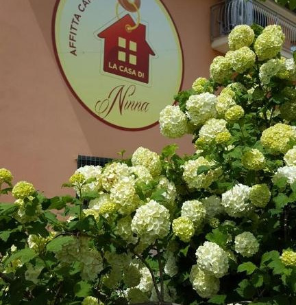 La Casa di Ninna Affittacamere, Ariano Irpino — photo 1
