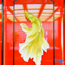 Wulanbutong Mingren Villa, Chifeng — photo 4