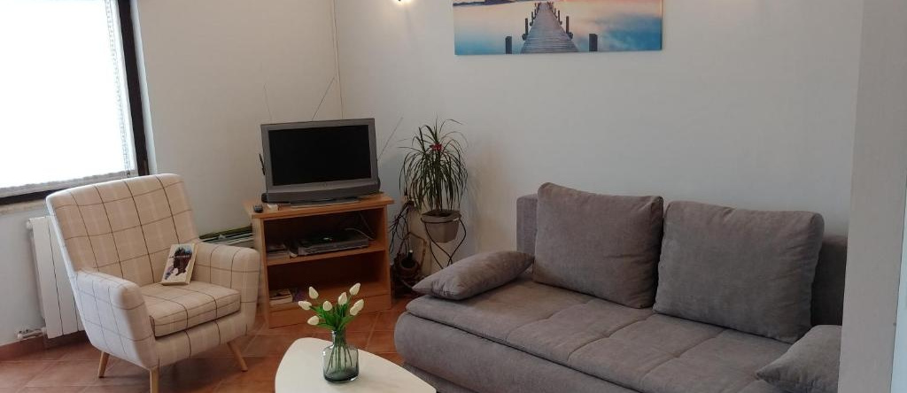 Apartment Fabris, 帕津 — 照片 1