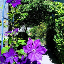 Chambre Avec Jardin Pierre Curie, 巴黎门 — 照片 4