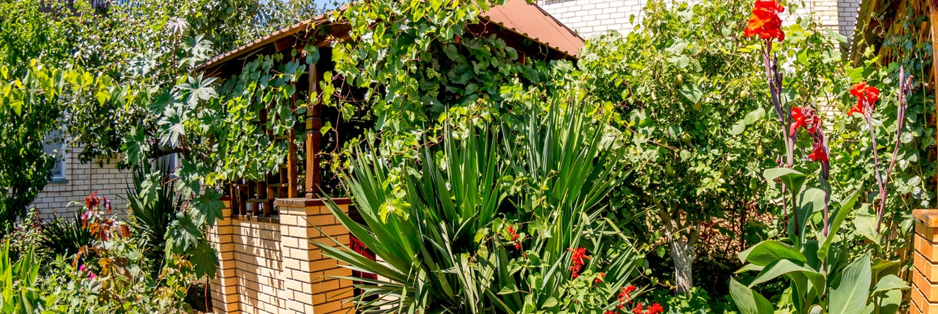 Solnechnaya Dolina Guest House, 阳光谷 — 照片 1