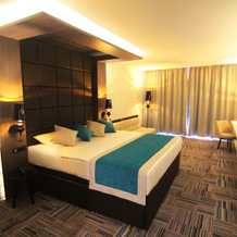 Hotel Hills Congress & Termal Spa Resort, Илиджа — фото 4