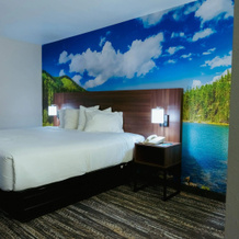 Clarion Pointe-Dillard Near Blue Ridge Mountains, Диллард — фото 4