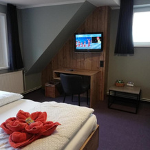 Hotel Steinhagen, 达姆纳克 — 照片 3