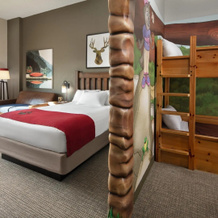 Great Wolf Lodge Pocono Mountains, PA, 斯科特鲁德 — 照片 3