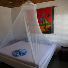 Little Mermaid Dive Resort, Daanbantayan — photo 2