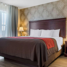 Comfort Inn & Suites Levis / Rive Sud Quebec City, Леви — фото 4