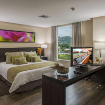 Studio Hotel Boutique, Санта-Ана — фото 3