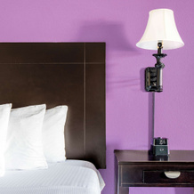 La Quinta Inn & Suites by Wyndham Alamo - McAllen East, Alamo — photo 5