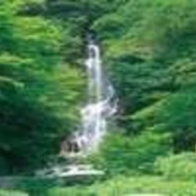 Kaisenkaku, Ogi — photo 4
