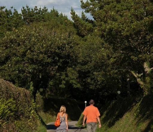Wooda Farm Holidays, Bude — photo 1